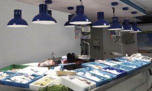 iluminación Led pescaderías