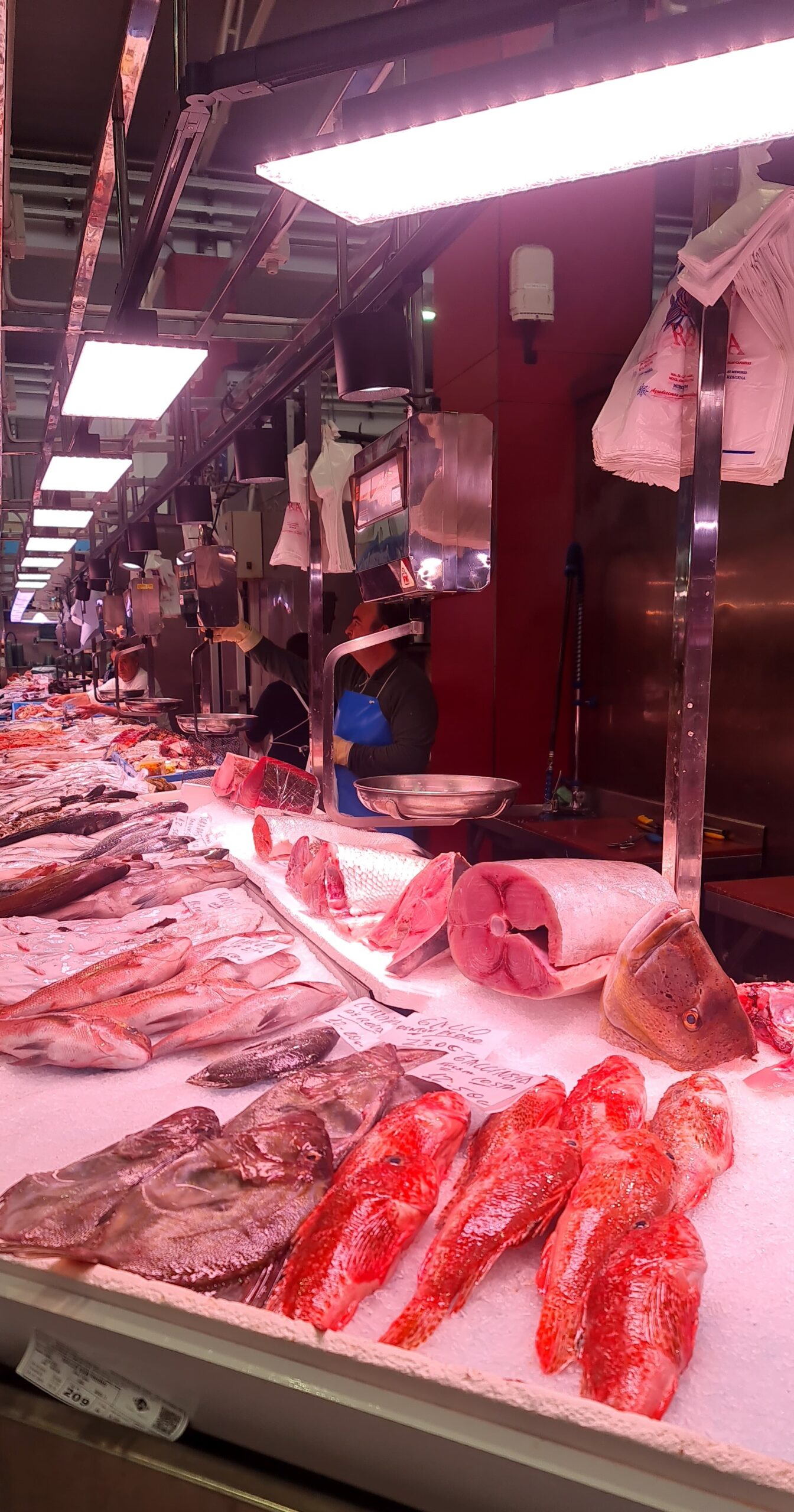 Productos pescadería iluminados