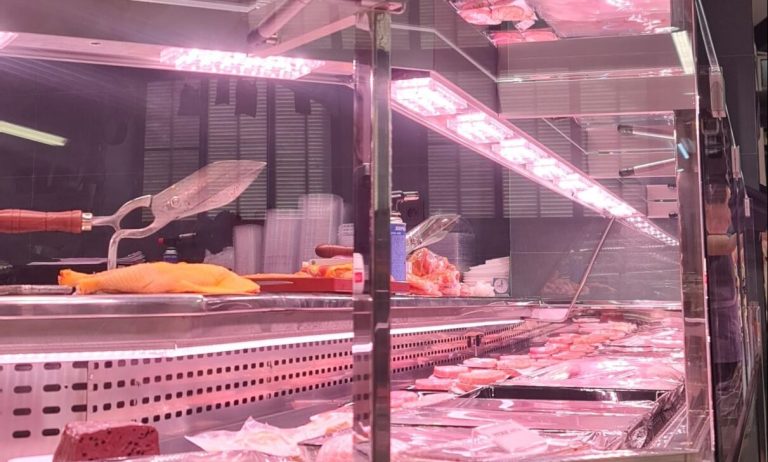 Interior mostrador carnicería iluminado
